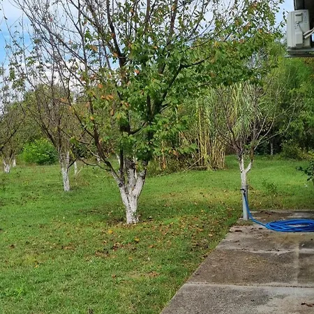 Milan Podgorica